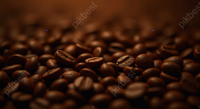 ثهوه های نمایشگاهی